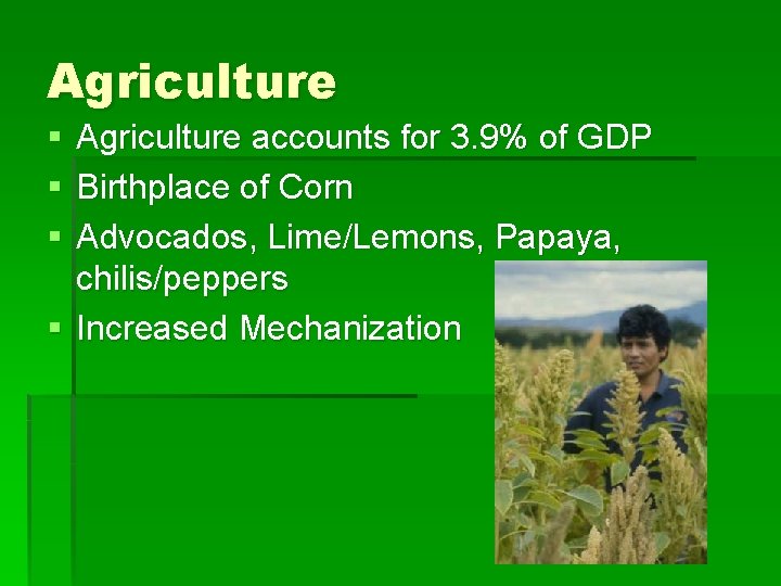 Agriculture § § § Agriculture accounts for 3. 9% of GDP Birthplace of Corn