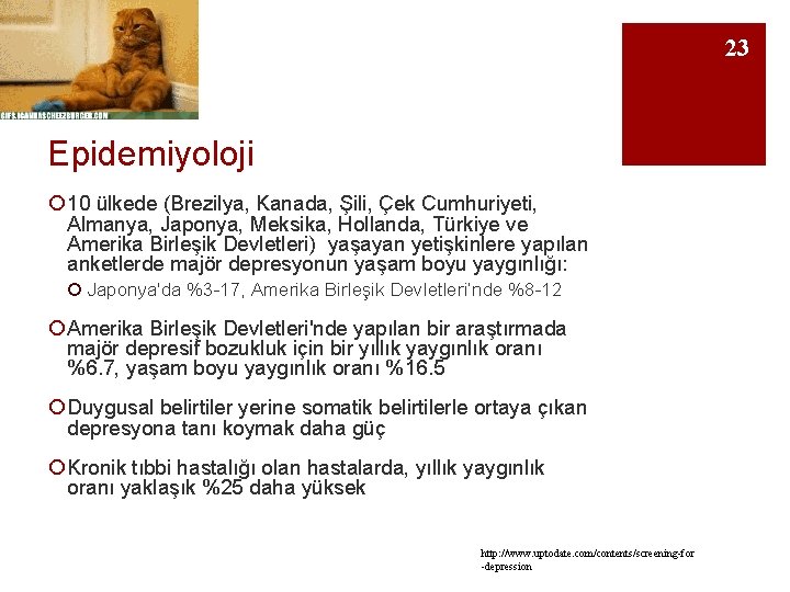 23 Epidemiyoloji ¡ 10 ülkede (Brezilya, Kanada, Şili, Çek Cumhuriyeti, Almanya, Japonya, Meksika, Hollanda,