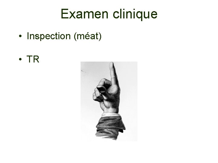 Examen clinique • Inspection (méat) • TR 