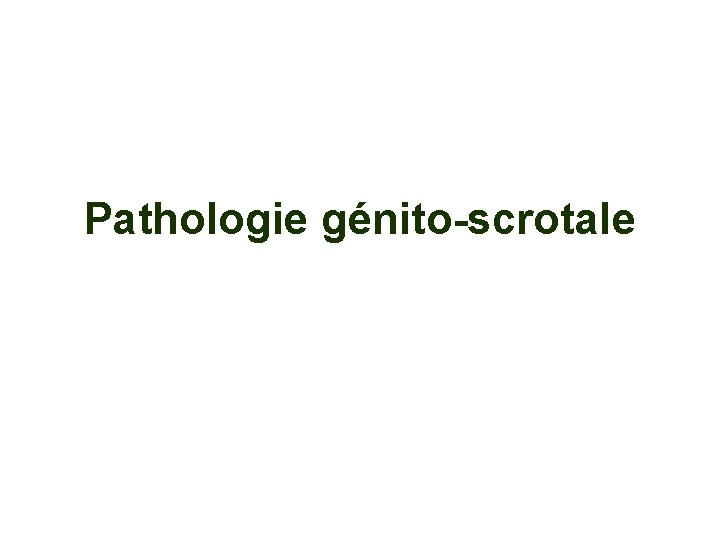 Pathologie génito-scrotale 
