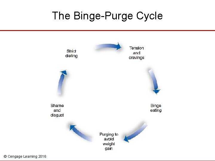 The Binge-Purge Cycle © Cengage Learning 2016 