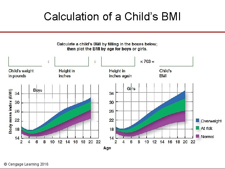 Calculation of a Child’s BMI © Cengage Learning 2016 