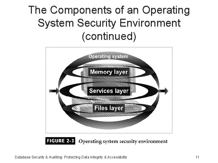 The Components of an Operating System Security Environment (continued) Database Security & Auditing: Protecting