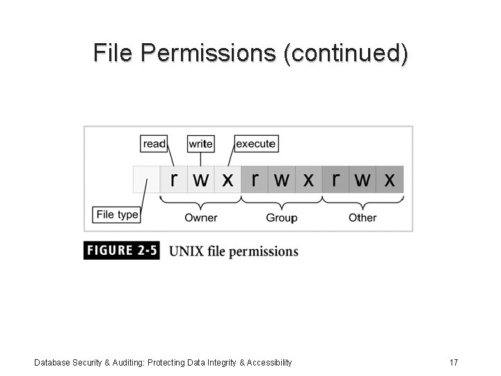 File Permissions (continued) Database Security & Auditing: Protecting Data Integrity & Accessibility 17 