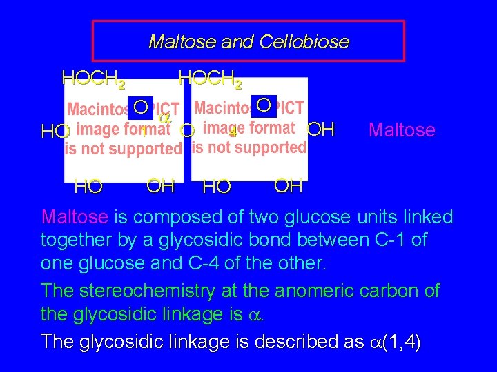 Maltose and Cellobiose HOCH 2 HO HOCH 2 O a 1 O O 4