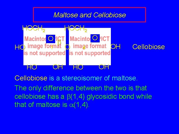 Maltose and Cellobiose HOCH 2 HO HOCH 2 O b 1 O O 4
