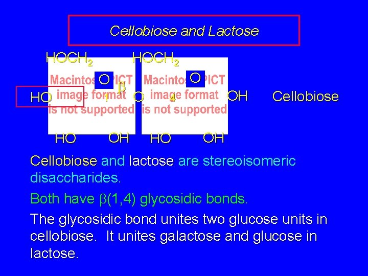 Cellobiose and Lactose HOCH 2 HO HOCH 2 O b 1 O O 4