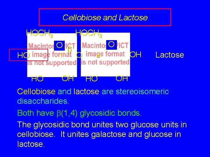 Cellobiose and Lactose HOCH 2 HO HOCH 2 O b 1 O O 4