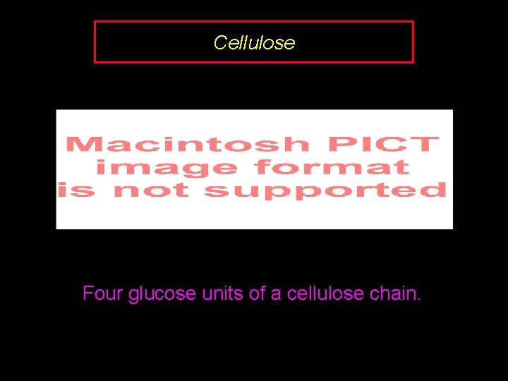 Cellulose Four glucose units of a cellulose chain. 