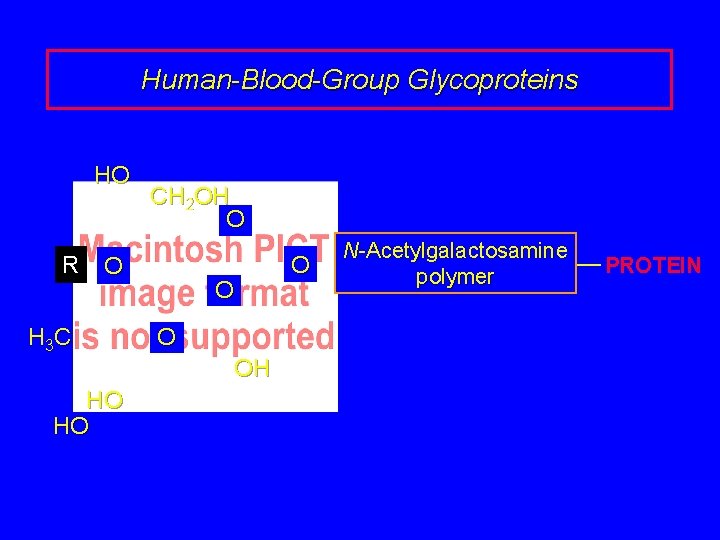 Human-Blood-Group Glycoproteins HO R CH 2 OH O O H 3 C HO HO