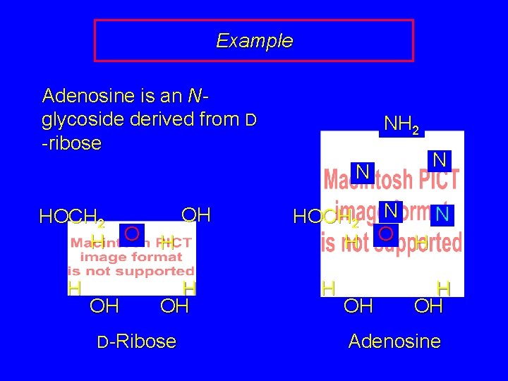 Example Adenosine is an Nglycoside derived from D -ribose NH 2 N OH HOCH