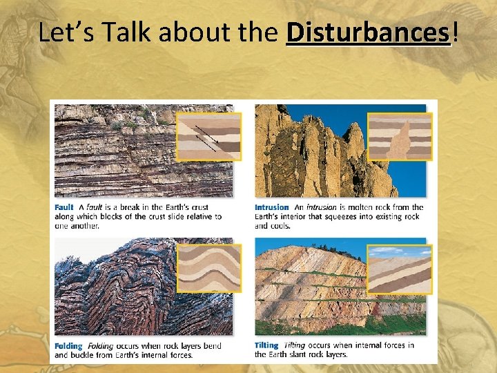 Let’s Talk about the Disturbances! Disturbances 