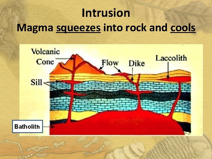 Intrusion Magma squeezes into rock and cools Batholith 