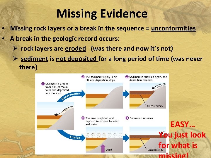 Missing Evidence • Missing rock layers or a break in the sequence = unconformities