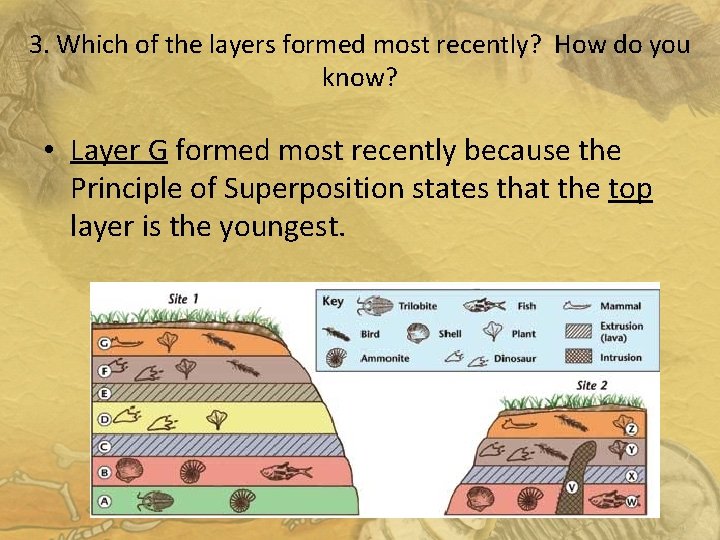 3. Which of the layers formed most recently? How do you know? • Layer