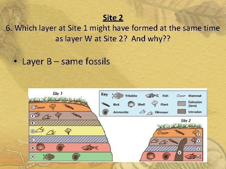 Site 2 6. Which layer at Site 1 might have formed at the same