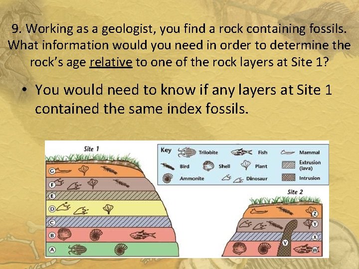 9. Working as a geologist, you find a rock containing fossils. What information would