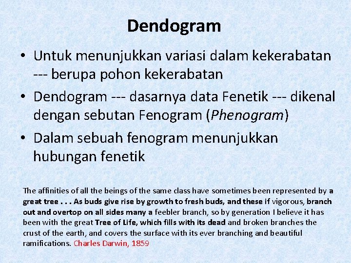Dendogram • Untuk menunjukkan variasi dalam kekerabatan --- berupa pohon kekerabatan • Dendogram ---