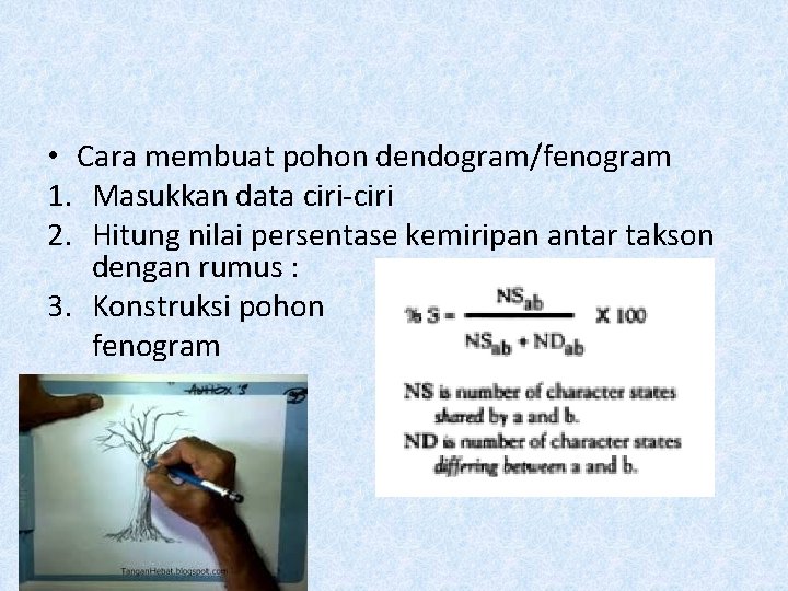  • Cara membuat pohon dendogram/fenogram 1. Masukkan data ciri-ciri 2. Hitung nilai persentase