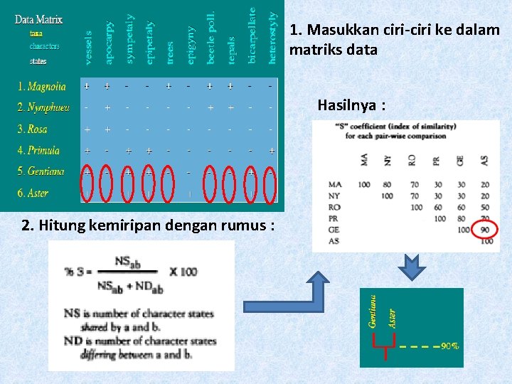 1. Masukkan ciri-ciri ke dalam matriks data Hasilnya : 2. Hitung kemiripan dengan rumus