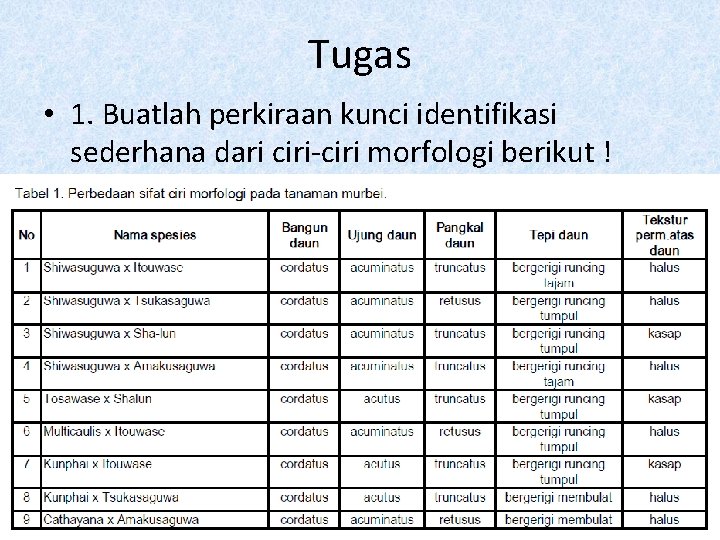 Tugas • 1. Buatlah perkiraan kunci identifikasi sederhana dari ciri-ciri morfologi berikut ! 