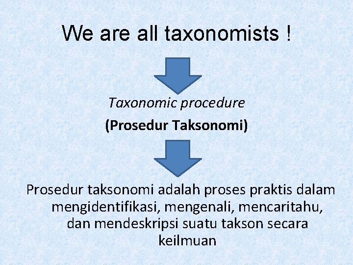 We are all taxonomists ! Taxonomic procedure (Prosedur Taksonomi) Prosedur taksonomi adalah proses praktis