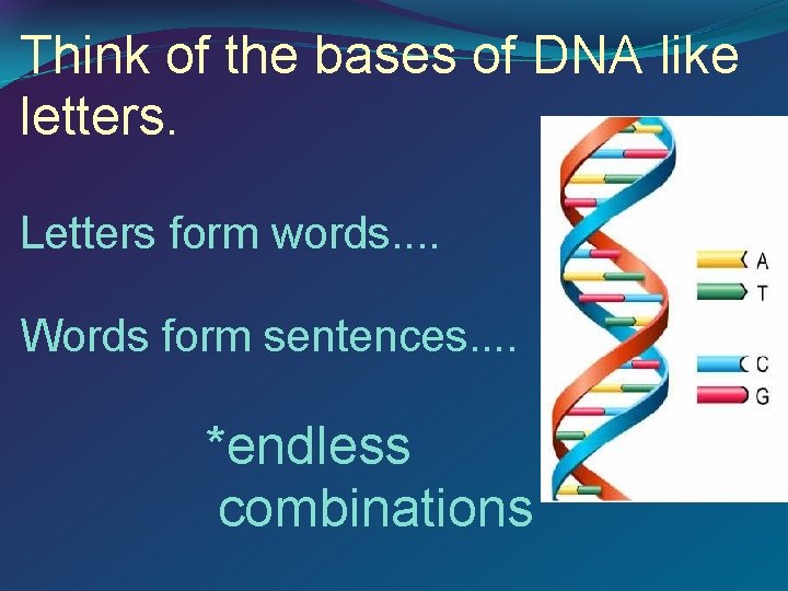 Think of the bases of DNA like letters. Letters form words. . Words form