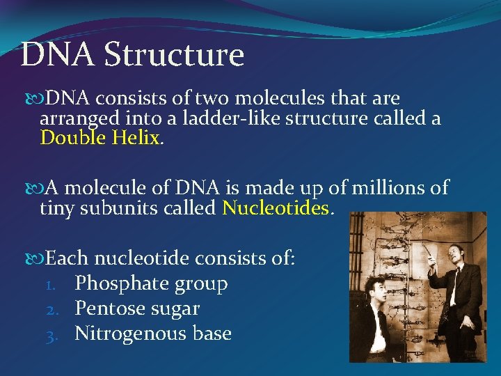 DNA Structure DNA consists of two molecules that are arranged into a ladder-like structure