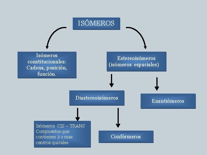 ISÓMEROS Isómeros constitucionales: Cadena, posición, función. Estereoisómeros (isómeros espaciales) Diastereoisómeros Isómeros CIS – TRANS