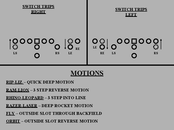 SWITCH TRIPS RIGHT SWITCH TRIPS LEFT RE LS RS LE LE RE MOTIONS RIP-LIZ