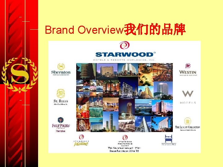 Brand Overview我们的品牌 