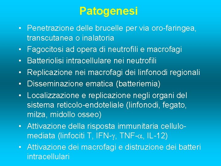 Patogenesi • Penetrazione delle brucelle per via oro-faringea, transcutanea o inalatoria • Fagocitosi ad