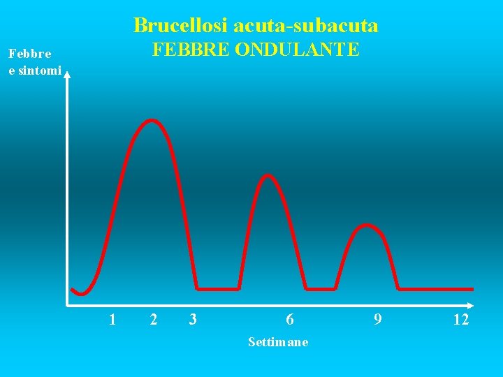 Brucellosi acuta-subacuta FEBBRE ONDULANTE Febbre e sintomi 1 2 3 6 Settimane 9 12