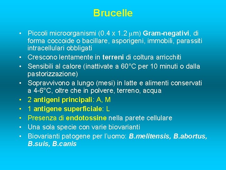 Brucelle • Piccoli microorganismi (0. 4 x 1. 2 m) Gram-negativi, di forma coccoide