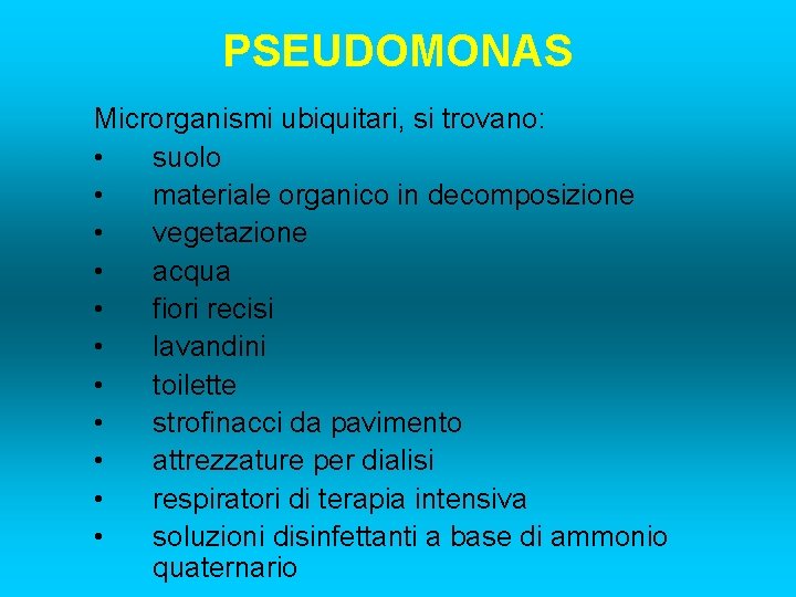 PSEUDOMONAS Microrganismi ubiquitari, si trovano: • suolo • materiale organico in decomposizione • vegetazione