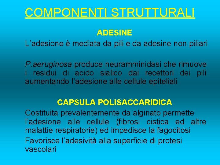 COMPONENTI STRUTTURALI ADESINE L’adesione è mediata da pili e da adesine non piliari P.