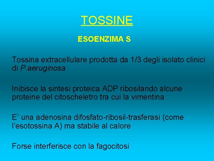 TOSSINE ESOENZIMA S Tossina extracellulare prodotta da 1/3 degli isolato clinici di P. aeruginosa