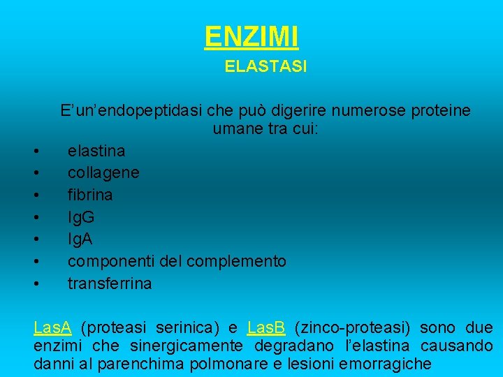 ENZIMI ELASTASI • • E’un’endopeptidasi che può digerire numerose proteine umane tra cui: elastina