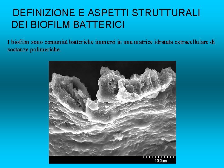 DEFINIZIONE E ASPETTI STRUTTURALI DEI BIOFILM BATTERICI I biofilm sono comunità batteriche immersi in