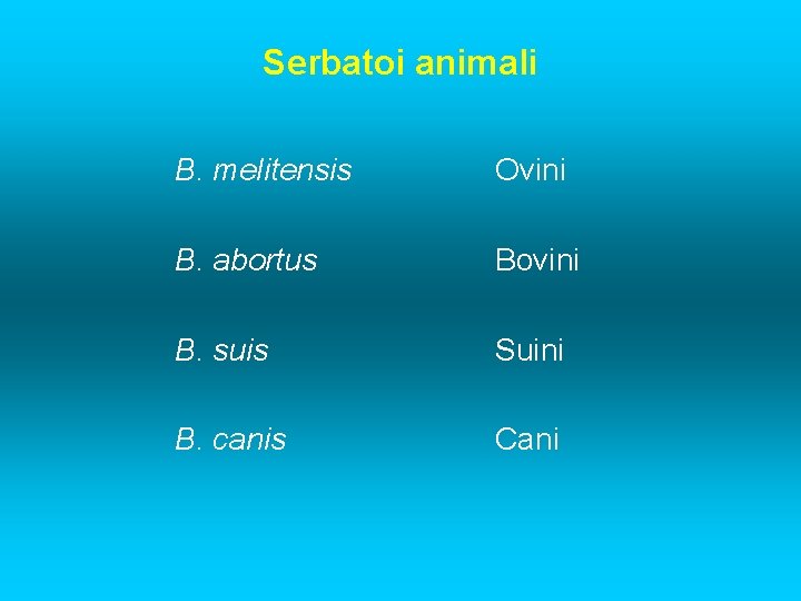 Serbatoi animali B. melitensis Ovini B. abortus Bovini B. suis Suini B. canis Cani