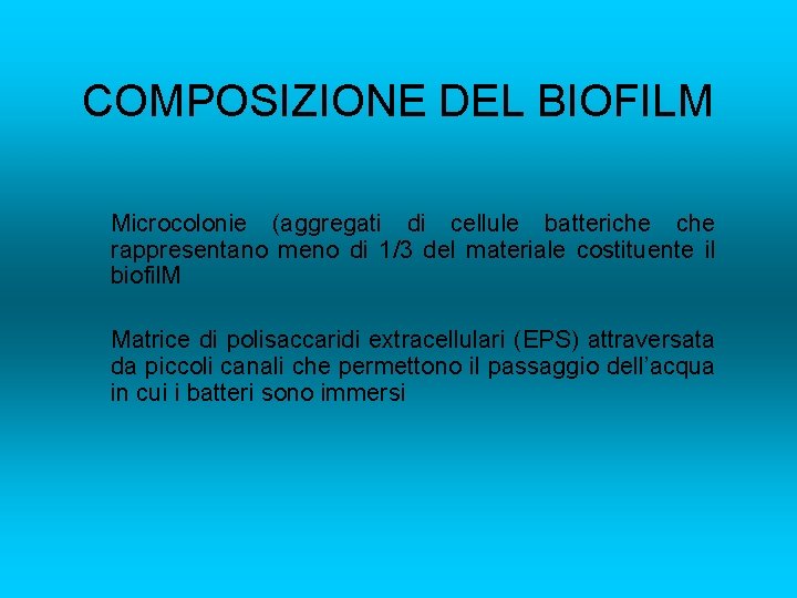 COMPOSIZIONE DEL BIOFILM Microcolonie (aggregati di cellule batteriche rappresentano meno di 1/3 del materiale