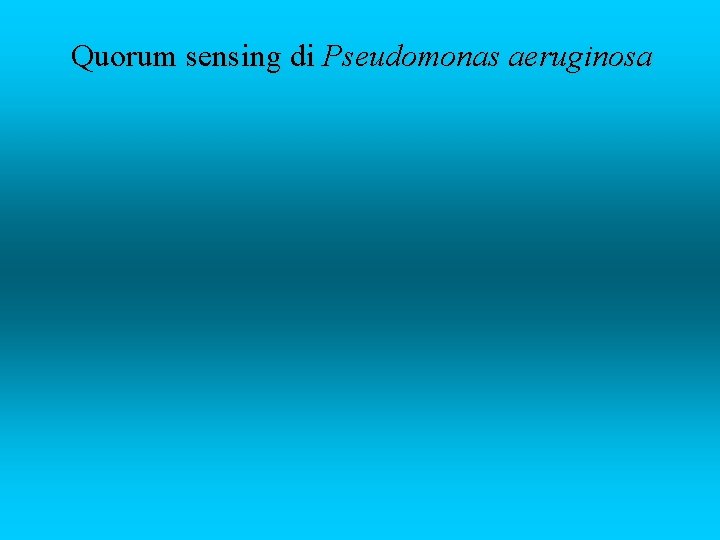 Quorum sensing di Pseudomonas aeruginosa 