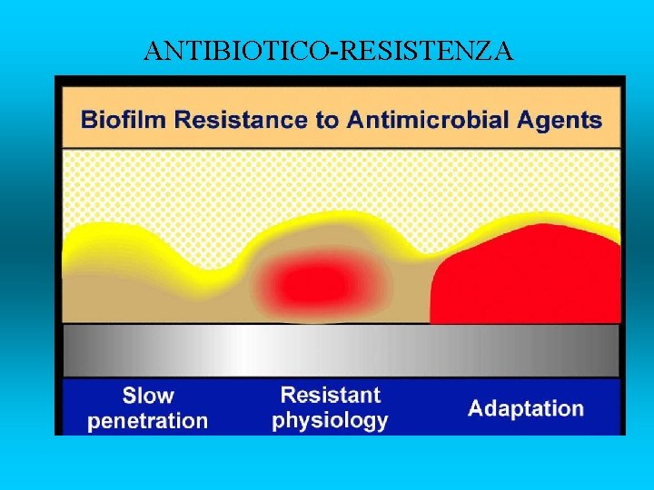 ANTIBIOTICO-RESISTENZA 