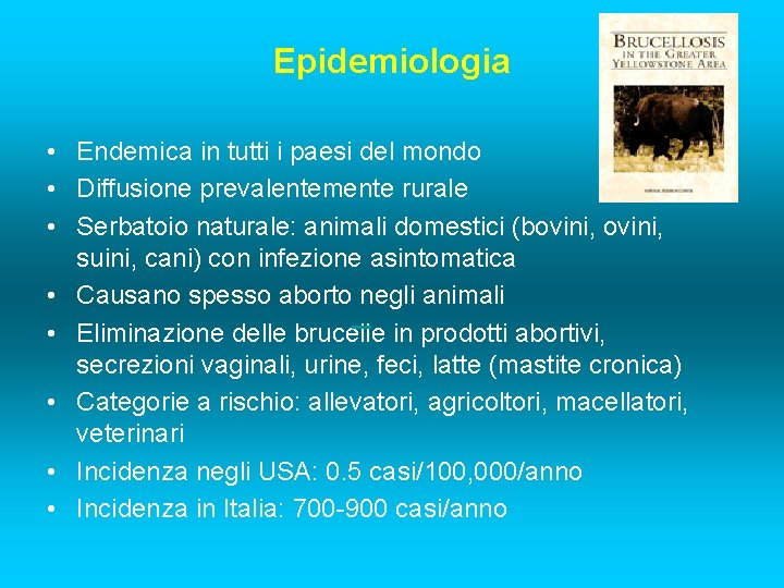 Epidemiologia • Endemica in tutti i paesi del mondo • Diffusione prevalentemente rurale •