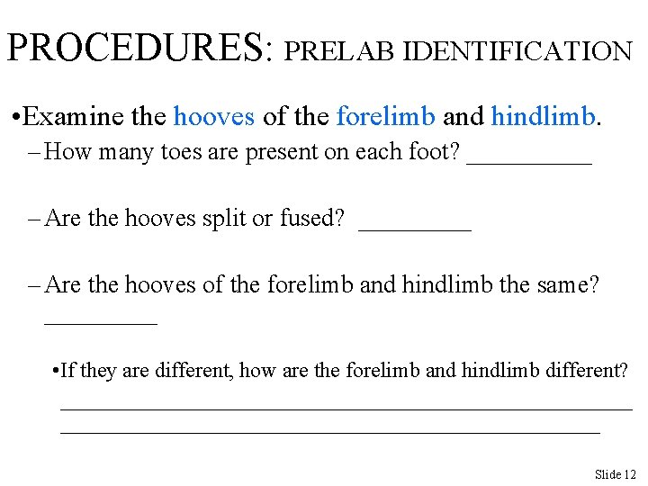 PROCEDURES: PRELAB IDENTIFICATION • Examine the hooves of the forelimb and hindlimb. – How