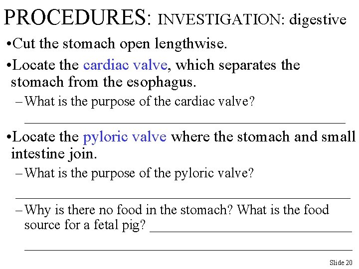 PROCEDURES: INVESTIGATION: digestive • Cut the stomach open lengthwise. • Locate the cardiac valve,