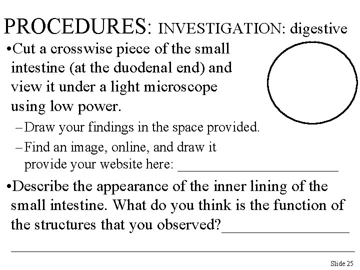PROCEDURES: INVESTIGATION: digestive • Cut a crosswise piece of the small intestine (at the