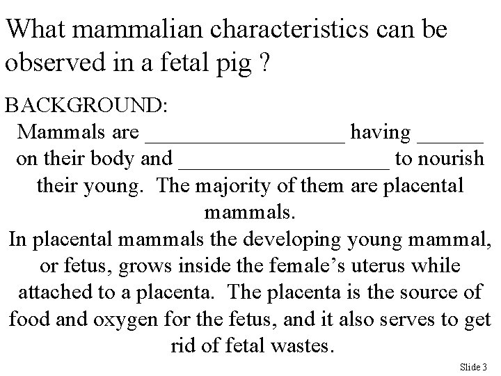 What mammalian characteristics can be observed in a fetal pig ? BACKGROUND: Mammals are
