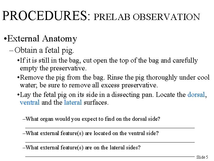 PROCEDURES: PRELAB OBSERVATION • External Anatomy – Obtain a fetal pig. • If it