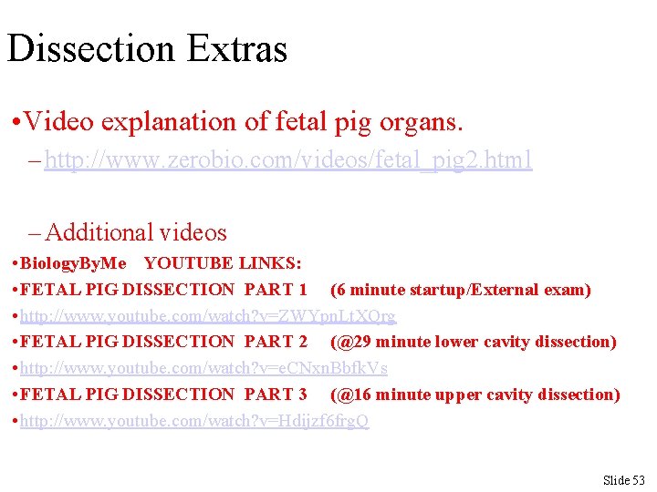 Dissection Extras • Video explanation of fetal pig organs. – http: //www. zerobio. com/videos/fetal_pig